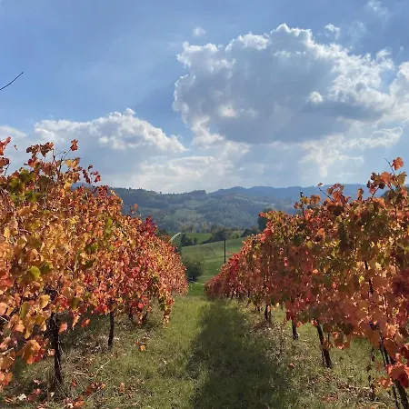 شقة Il Cerro Tra Colline, Silenzio E Natura Montecavolo