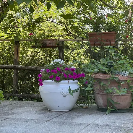 Apartman Il Cerro Tra Colline, Silenzio E Natura Montecavolo