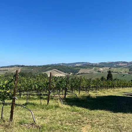 Il Cerro Tra Colline, Silenzio E Natura Montecavolo