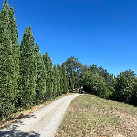 Il Cerro Tra Colline, Silenzio E Natura Apartman *